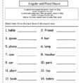 Singular And Plural Nouns Worksheets