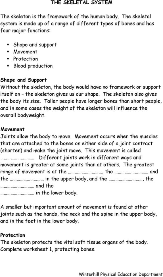 Skeleton And Joints Se Physical Education Unit 1