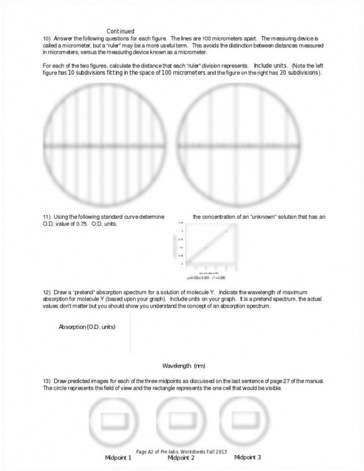 Sketch The Graph Of Each Line Worksheet Answers