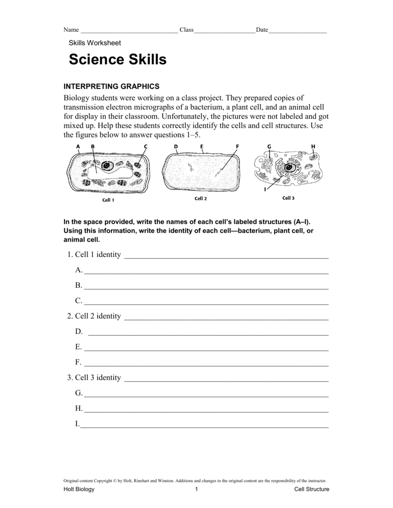 science-skills-worksheet-answers-biology-db-excel
