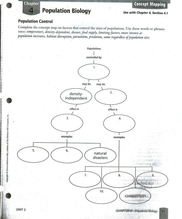 Skills Worksheet Concept Mapping