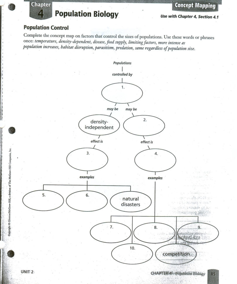 Skills Worksheet Concept Mapping  Yooob