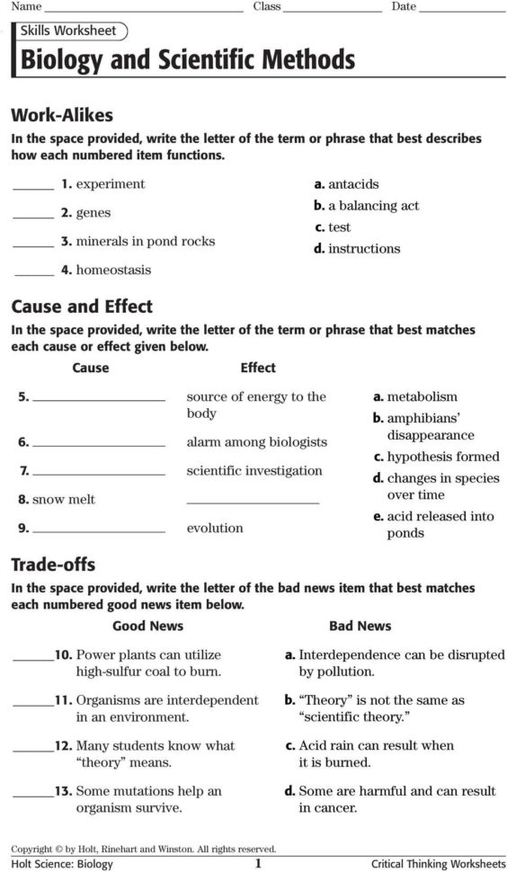 Skills Worksheet Critical Thinking Look Alikes
