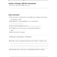 Skills Worksheet Directed Reading A Pages 1  4  Text