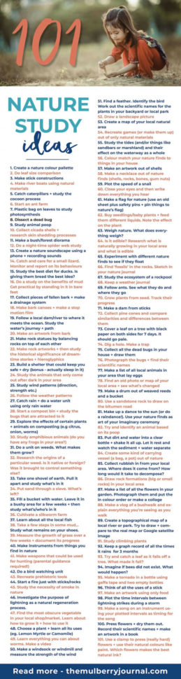 Skills  Worksheet Images