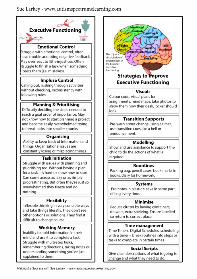 Printable Executive Functioning Worksheets For Adults