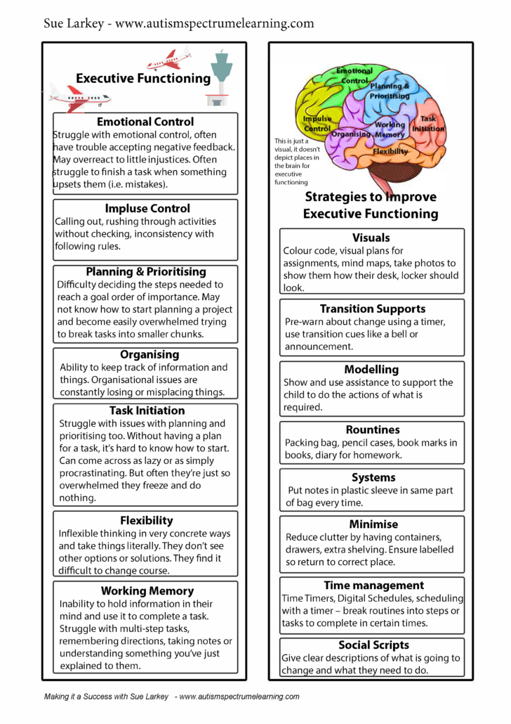 Executive Function Worksheets For Adults