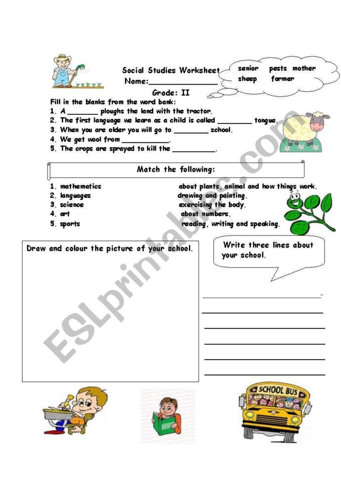Social Studies Assessment Worksheet  Esl Worksheetalina2