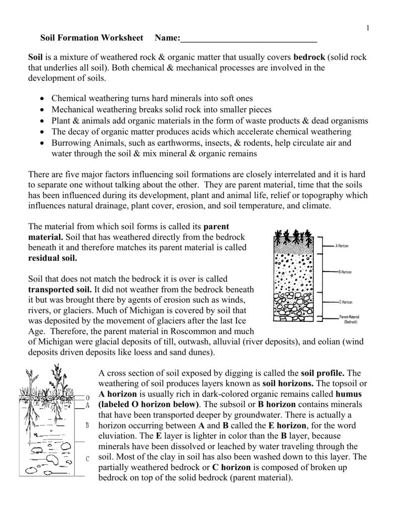 Soil Formation Worksheet