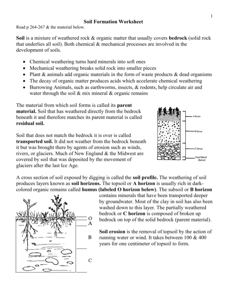 Soil Formation Worksheet