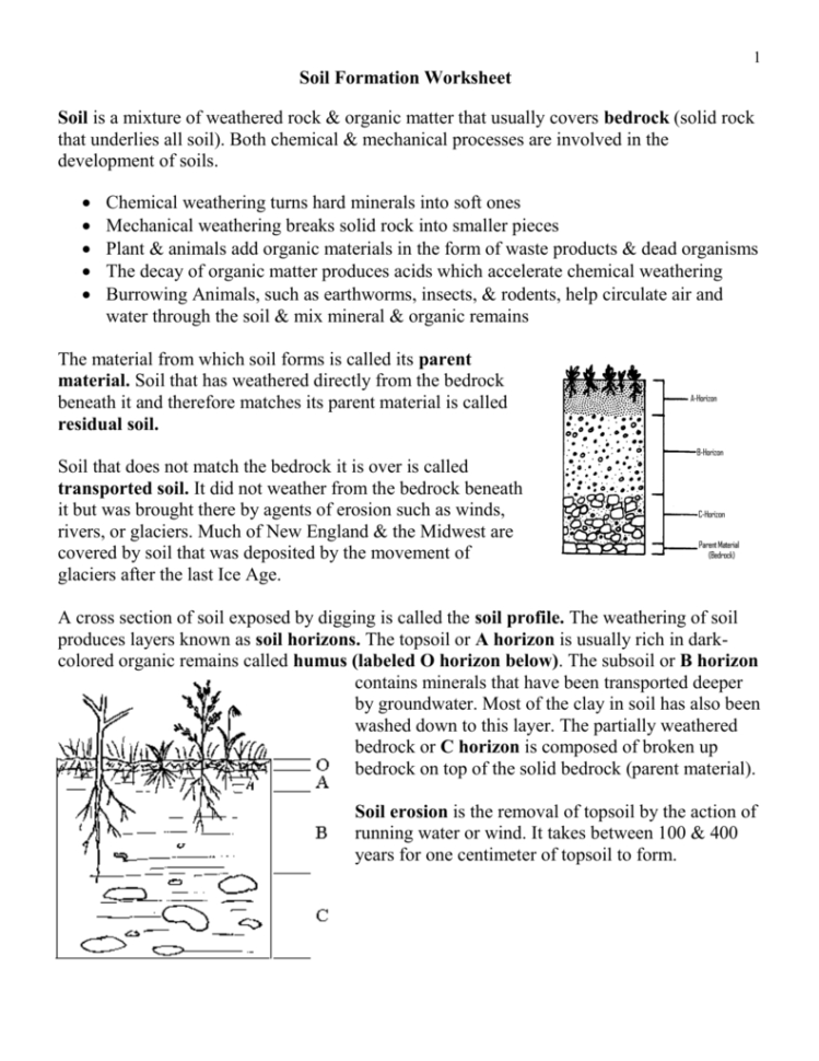 Soil Formation Worksheet  Wikispaces
