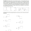 Solved Basic Reactionconcept Worksheet 12 Description