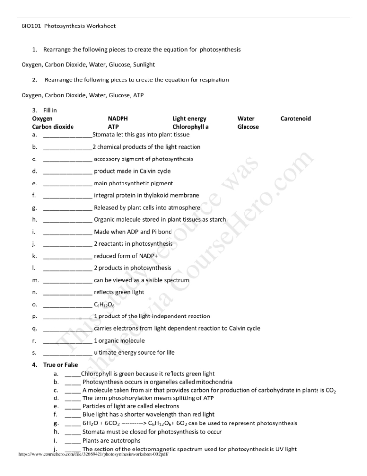 Solved Bio101 Photosynthesis Worksheet 1 Rearrange The F
