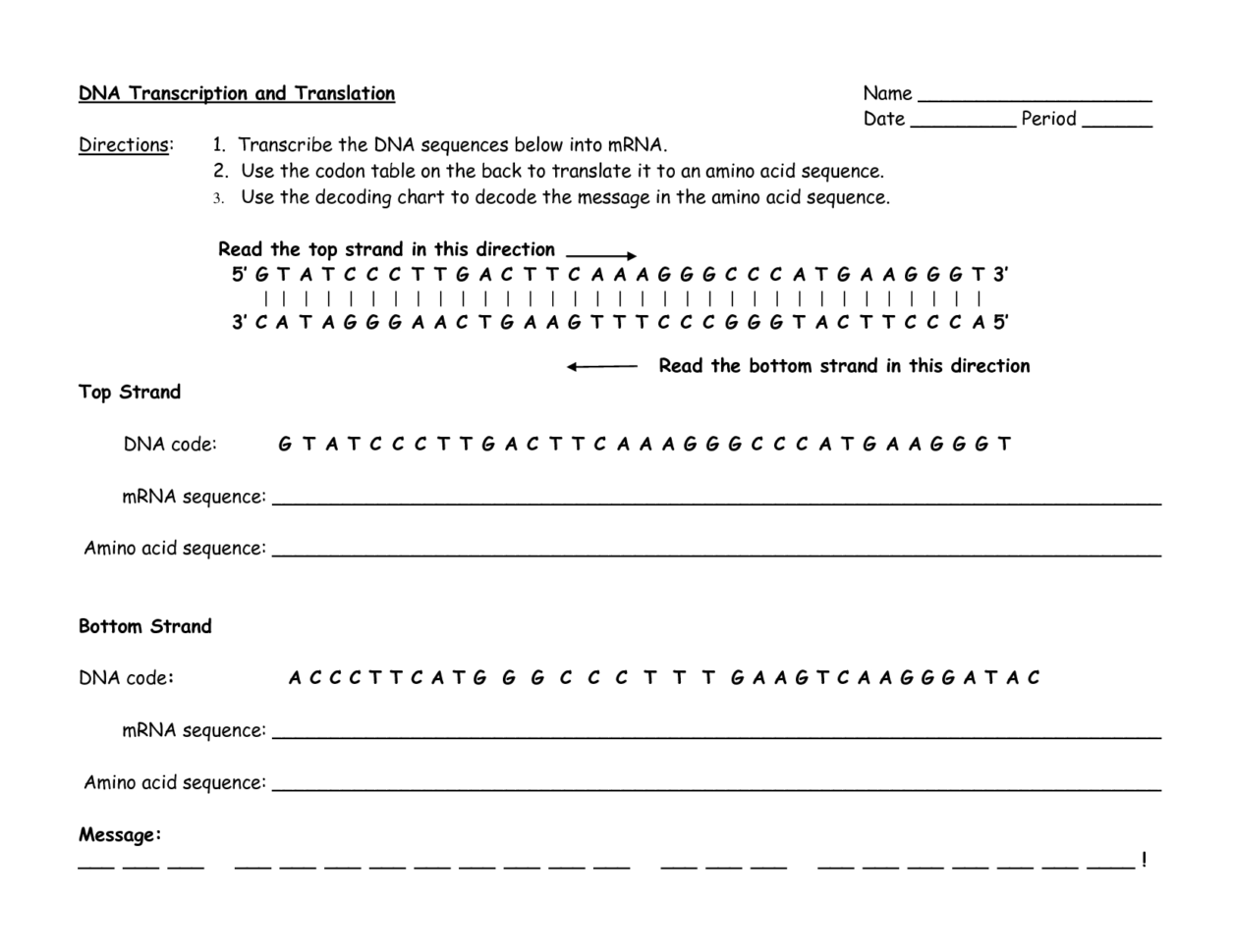 Solved Dna Transcription And Translation Directions 1 T