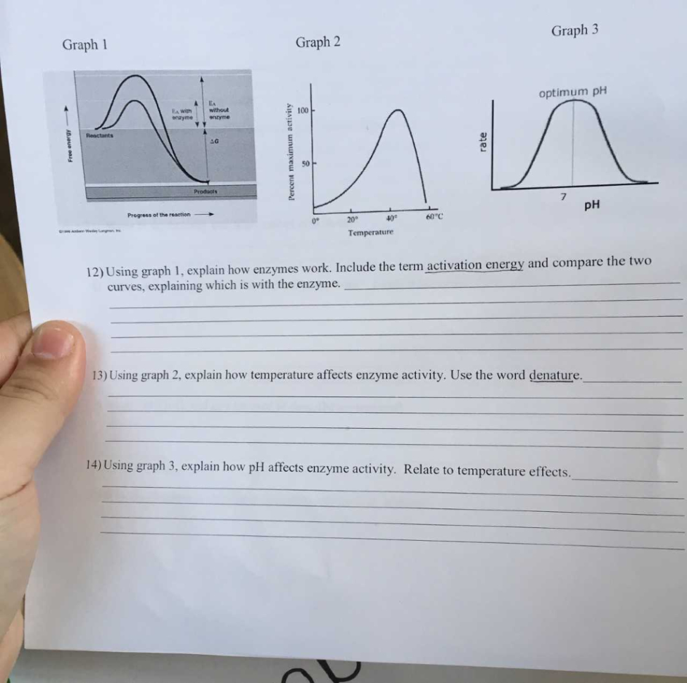 Solved Graph 3 Graph 1 Graph 2 Optimum Ph Ae Ea With With