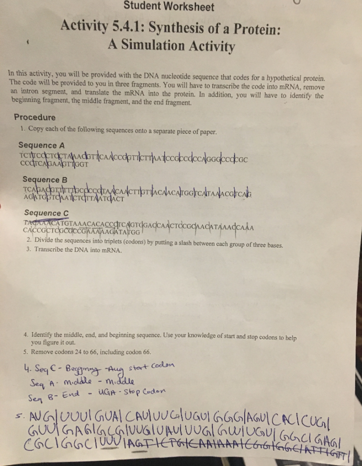 Protein Synthesis Worksheet