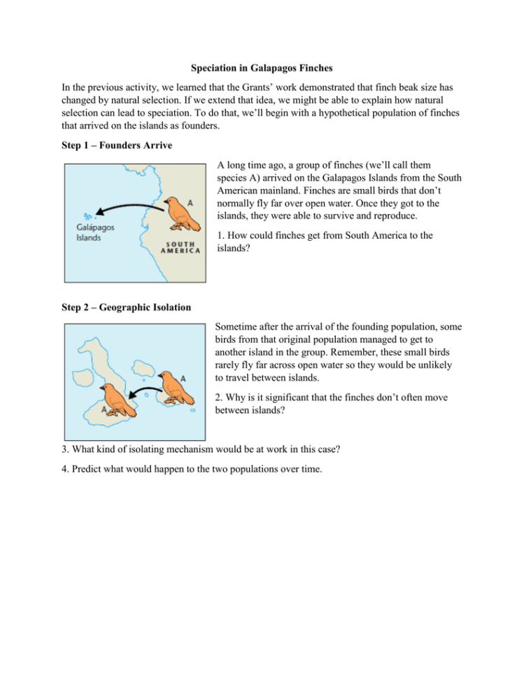 Speciation In Galapagos Finches