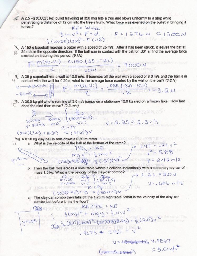 Speed And Velocity Worksheet Answers Key 10 Reasons You  Marianowo