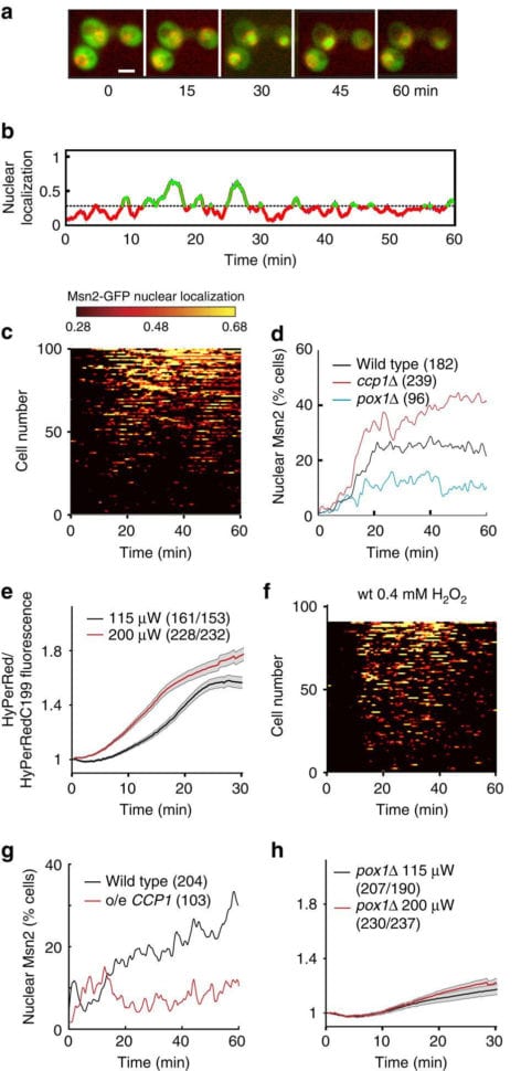 Spent Looking For Change Worksheet Answers