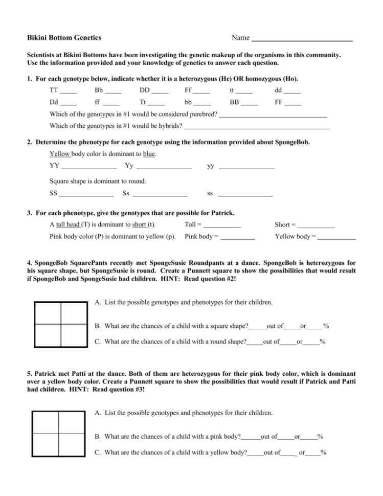 Spongebob Genetics Homework