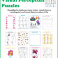 Spring Visual Perceptual Puzzles