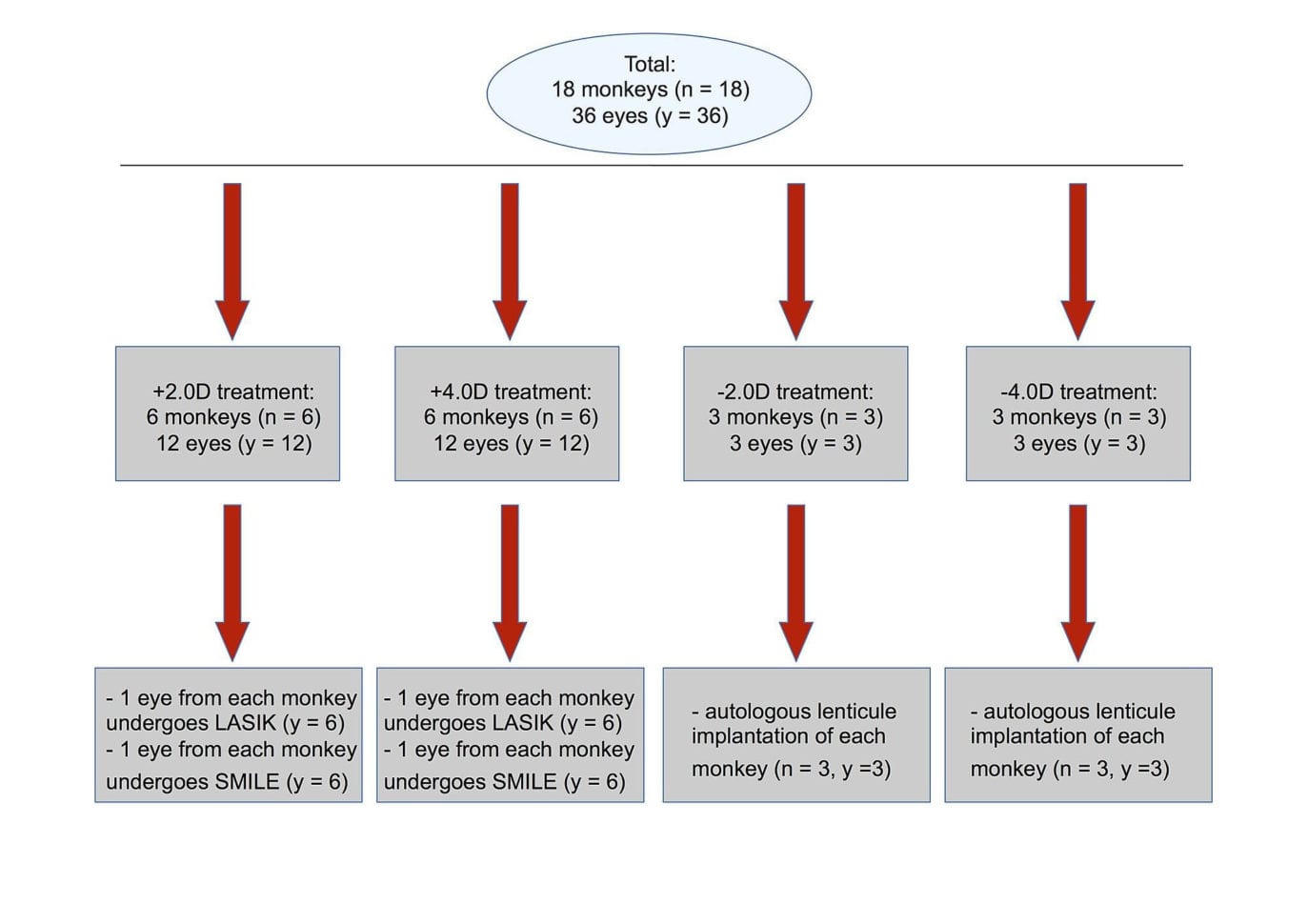 Ssat Analogies Worksheet