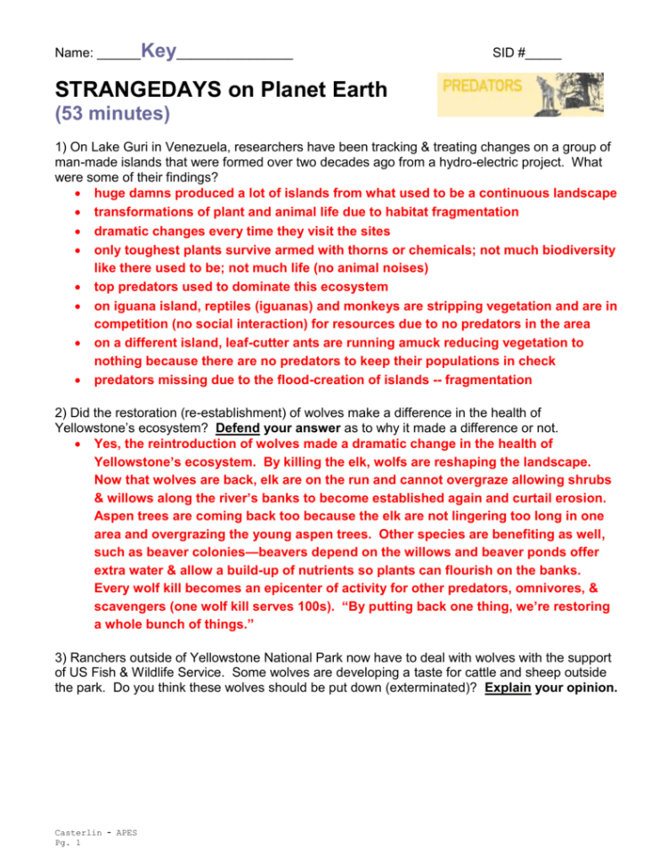 Strange Days On Planet Earthpredators