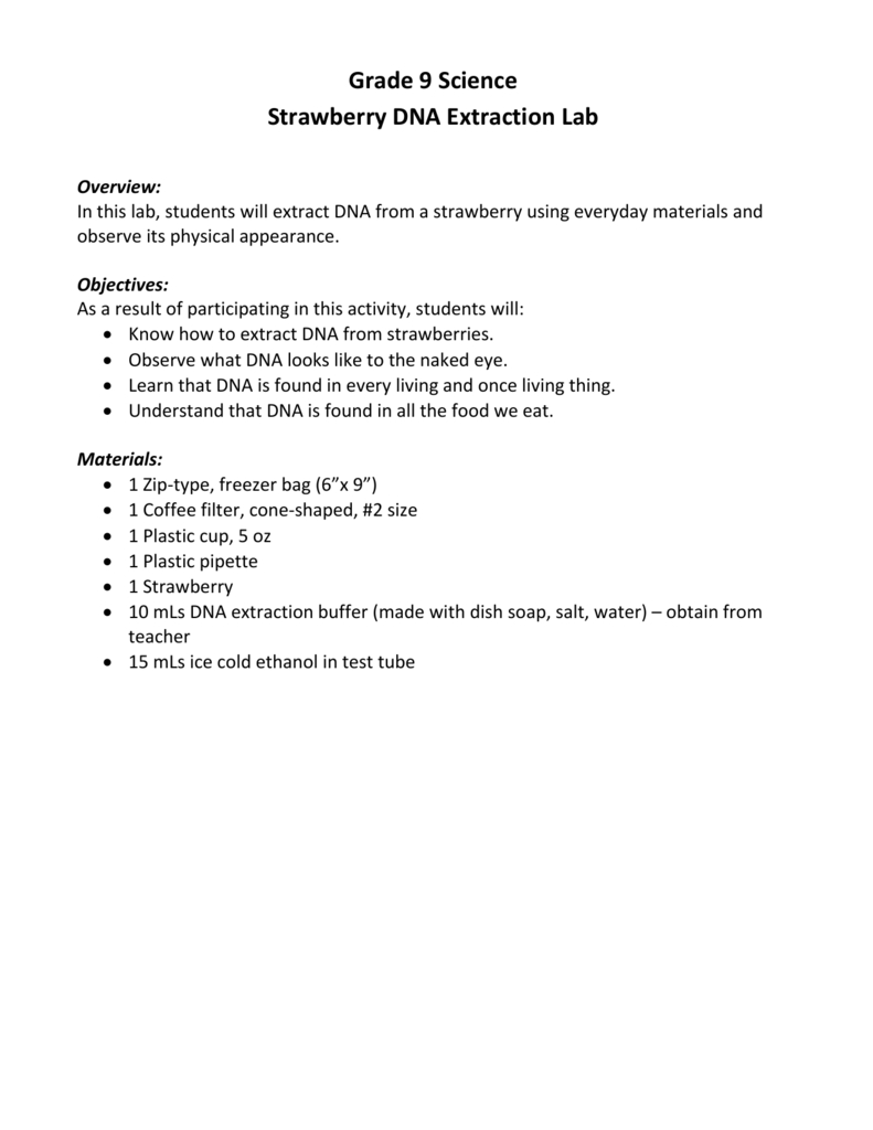 Strawberry Dna Extraction Lab Worksheet