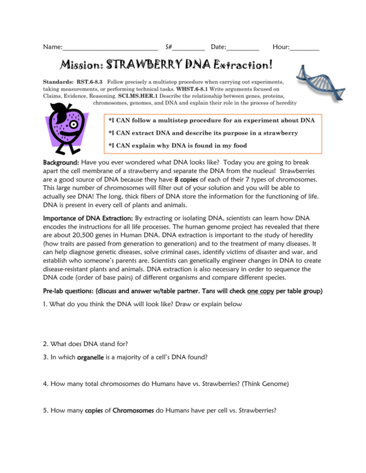 Strawberry Dna Extraction Lab Worksheet — db-excel.com