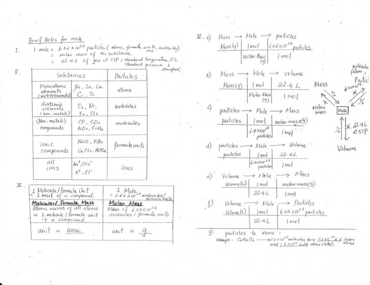 Structure Of Dna And Replication Worksheet Answers