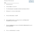 Student Worksheet  Newspaper Article Analysis Sheet