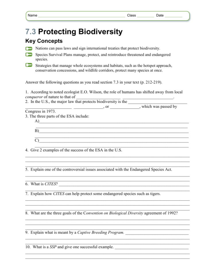 Study Guide 73