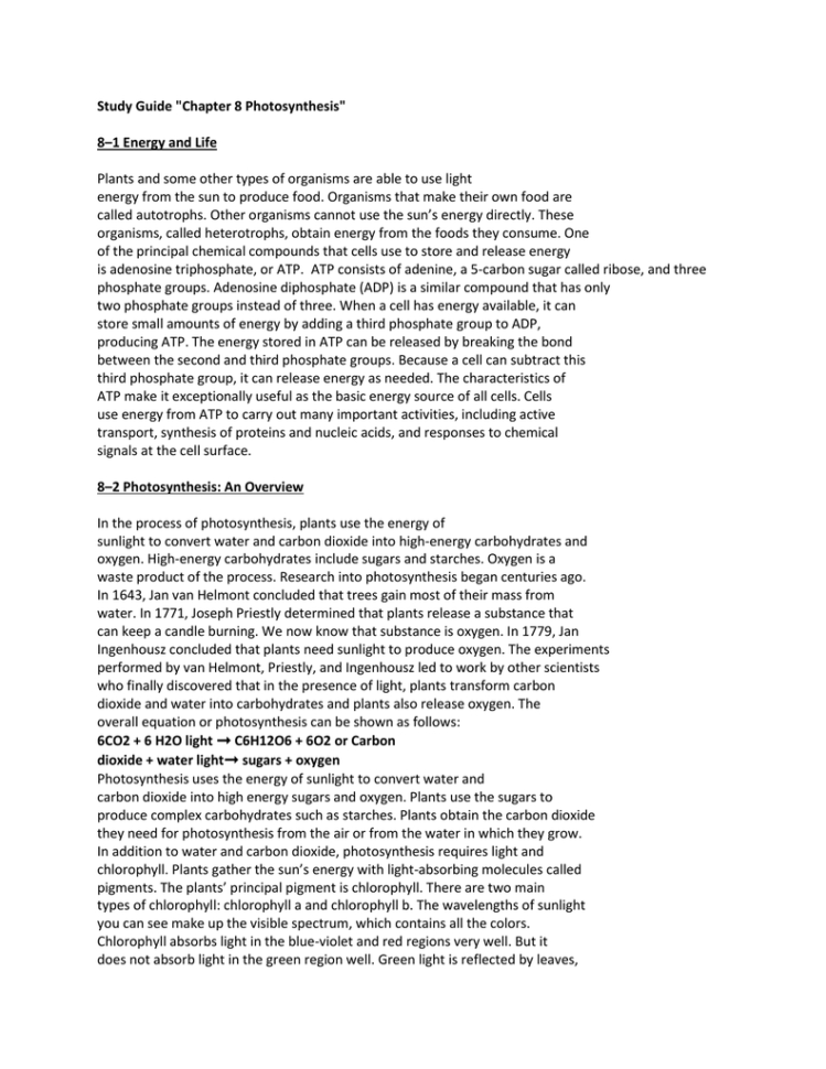Study Guide "chapter 8 Photosynthesis" 8–1 Energy And Life