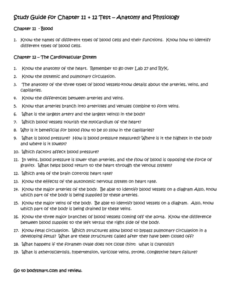 Study Guide For Chapter 11  12 Test – Anatomy And Physiology