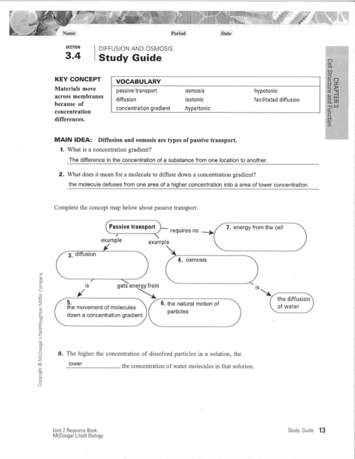 Passive Transport Worksheet