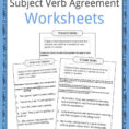 Subject Verb Agreement Worksheets  Kidskonnect