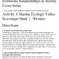 Symbiotic Relationships In Marine Ecosystems  Pdf