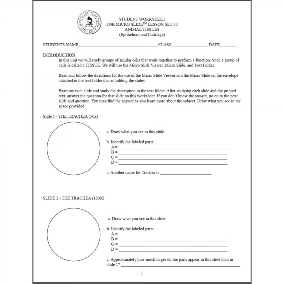 T50Ws  Worksheet Animal Tissues Epithelium Cartilage