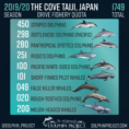 Taiji Factsfrequently Asked Questions  Dolphin Project