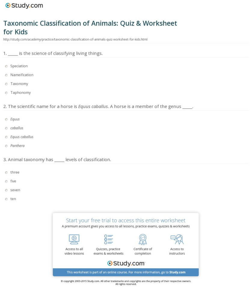 Taxonomic Classification Of Animals Quiz  Worksheet For