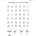 Taxonomy And Classification Word Search  Word