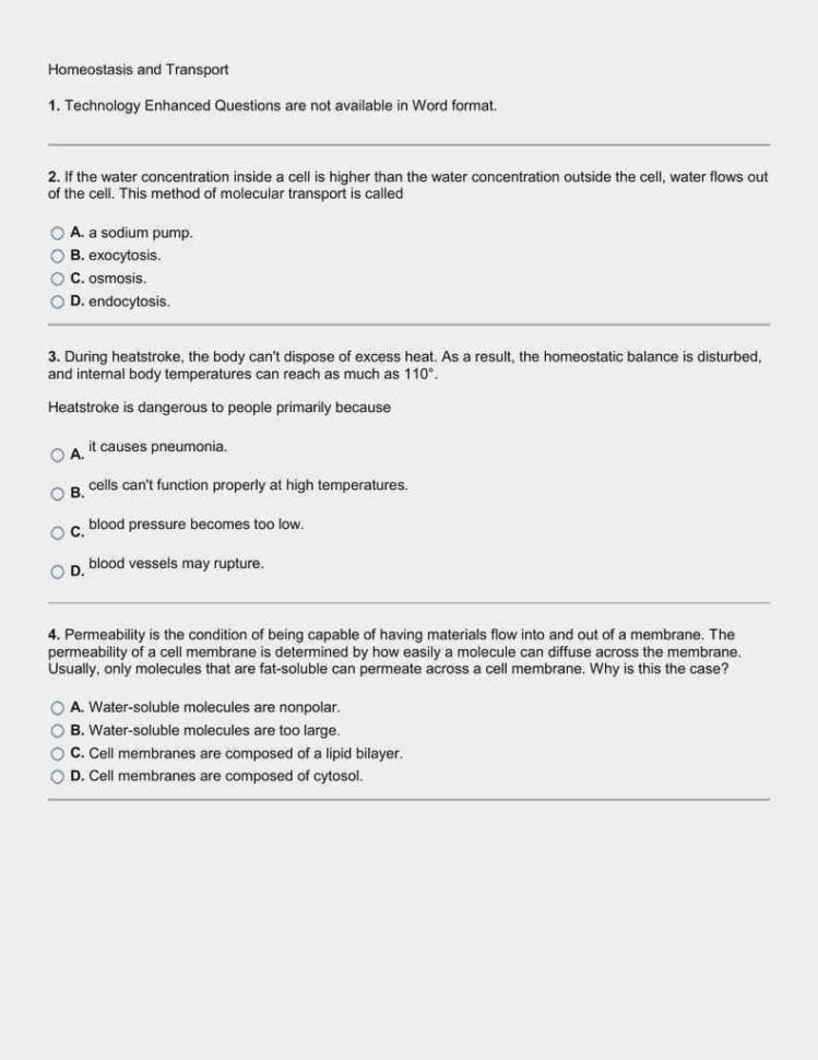 Teacher Answer Keys And The Worksheets