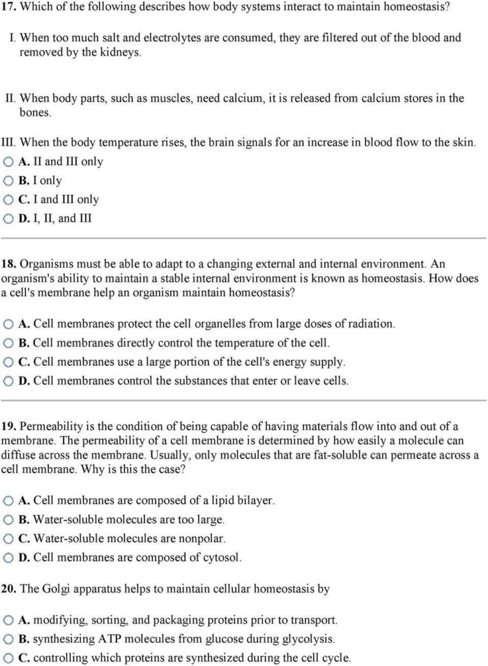 Temperature Conversion Worksheet Kelvin Celsius Fahrenheit
