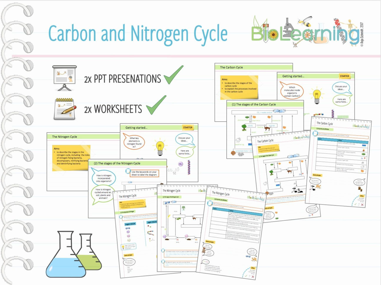 Ter Carbon And Nitrogen Cycle Worksheet