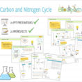 Ter Carbon And Nitrogen Cycle Worksheet Biogeochemical Cycles