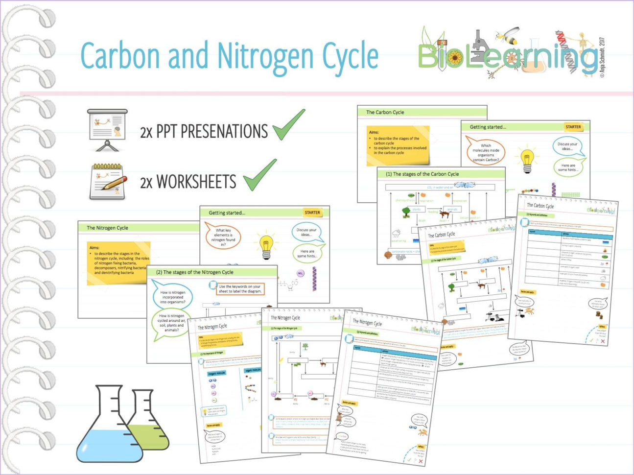 Ter Carbon And Nitrogen Cycle Worksheet Biogeochemical Cycles