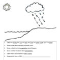 Ter Carbon And Nitrogen Cycle Worksheet Color Sheet