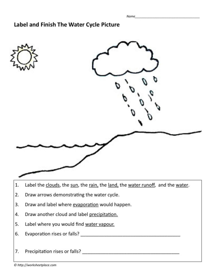 Ter Carbon And Nitrogen Cycle Worksheet Color Sheet