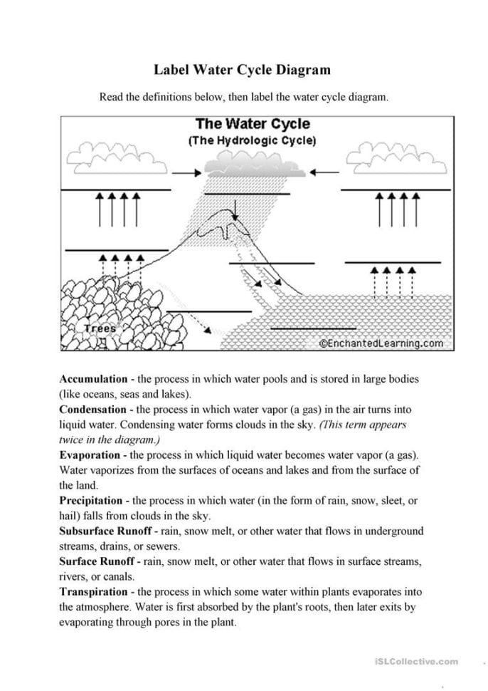 Ter Cycle Diagram  English Esl Worksheets