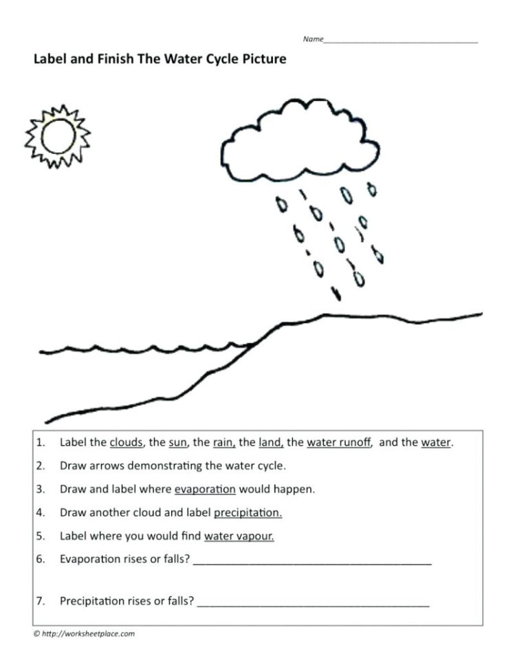 Ter Cycle Lesson Plan 5Th Grade Name That Part Of The Ter Cycle